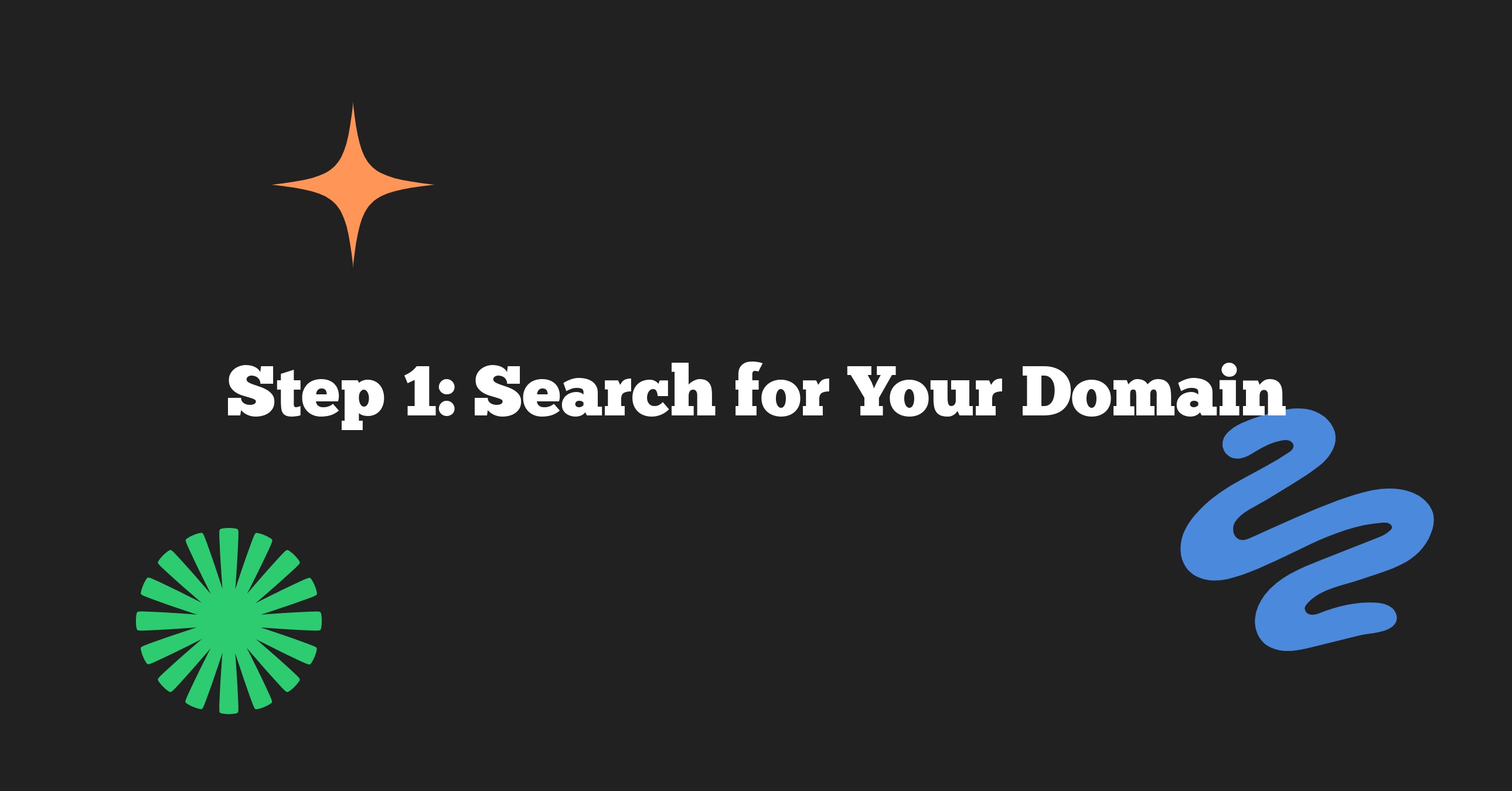 Searching for Your Domain Name: The First Step